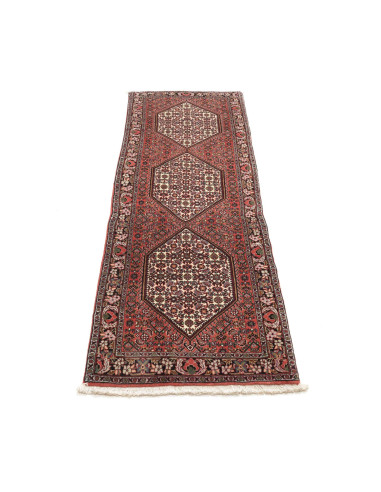 Tappeto Bidjar Persia cm.63x195