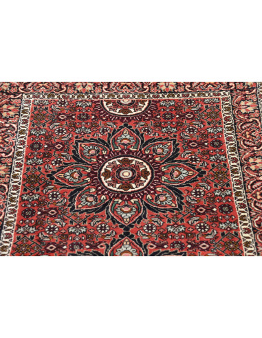 Tappeto Bidjar Persia cm.66x210