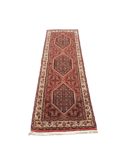 Tappeto Bidjar Persia cm.64x220