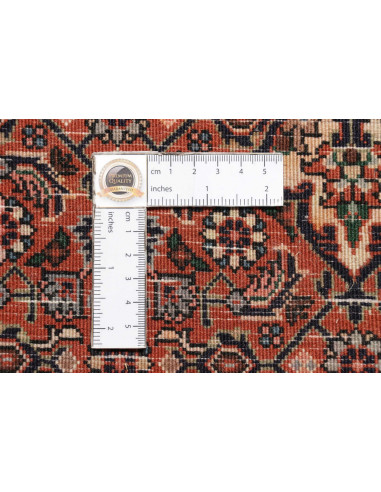 Tappeto Bidjar Persia cm.77x248