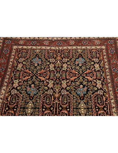 Tappeto Ilaam Persia cm.101x166