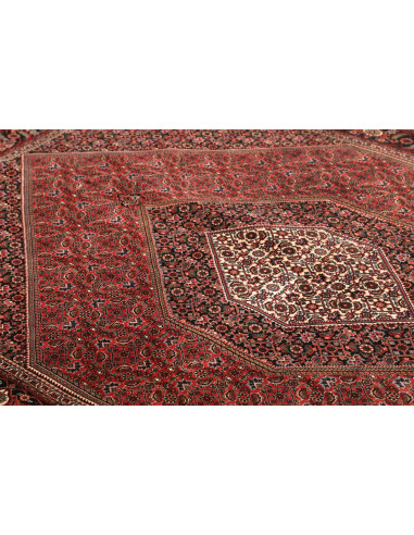 Tappeto Bidjar Con Seta Persia cm.168x246