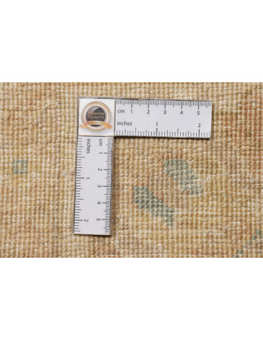 Tappeto Zigler Pakistan cm.302x409