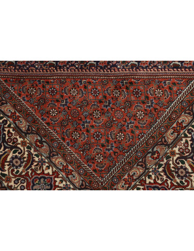 Tappeto Bidjar Persia cm.295x388