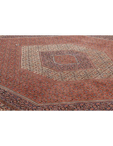 Tappeto Bidjar Persia cm.295x388