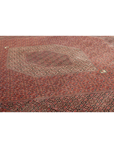 Tappeto Bidjar Persia cm.296x390