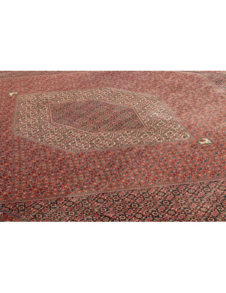Tappeto Bidjar Persia cm.296x390