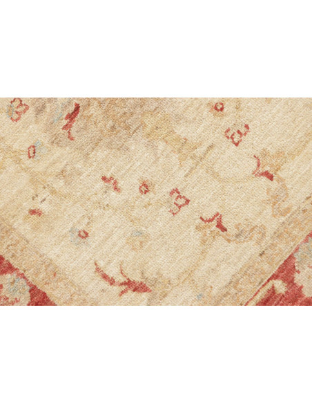 Tappeto Zigler Pakistan cm.79x247