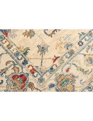 Tappeto Zigler Pakistan cm.168x238