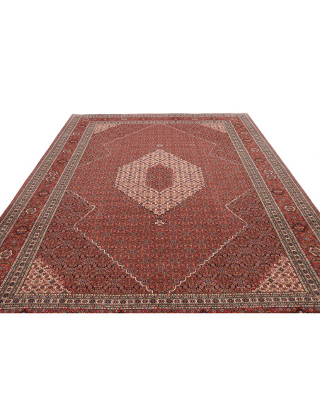 Tappeto Sarab Fine Persia cm.265x355