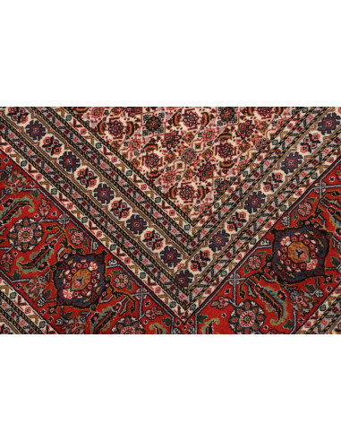 Tappeto Sarab Fine Persia cm.265x355