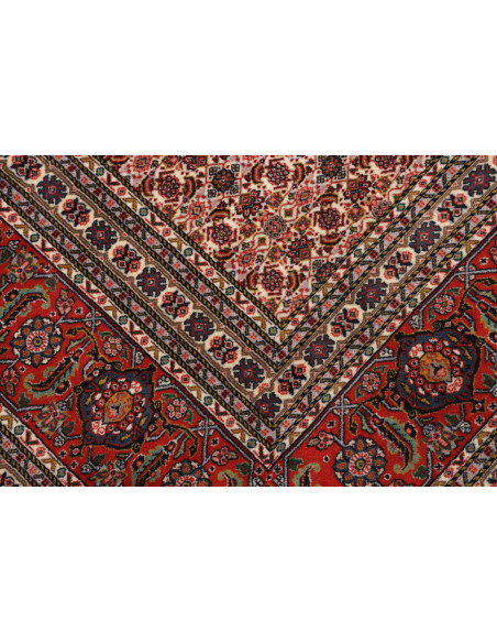 Tappeto Sarab Fine Persia cm.265x355