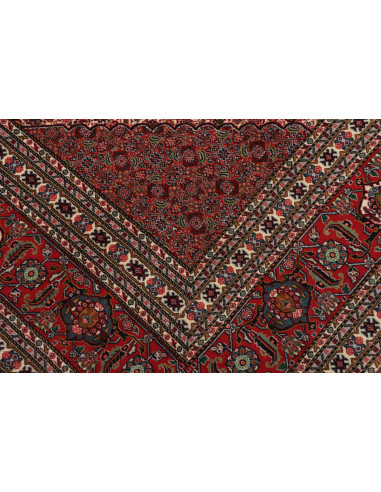 Tappeto Sarab Fine Persia cm.270x370