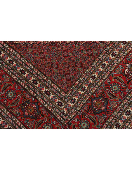 Tappeto Sarab Fine Persia cm.270x370