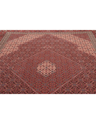 Tappeto Sarab Fine Persia cm.270x370