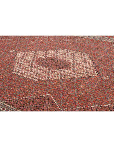 Tappeto Sarab Fine Persia cm.265x355