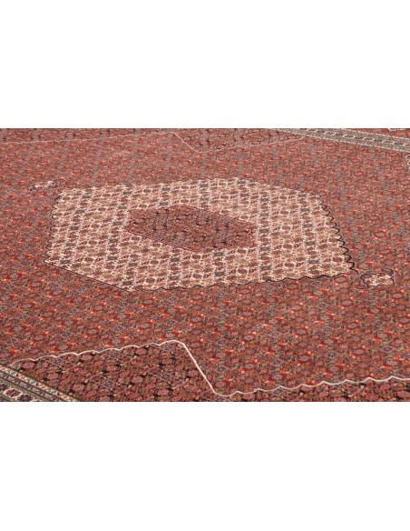 Tappeto Sarab Fine Persia cm.265x355