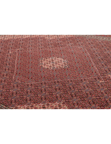 Tappeto Sarab Fine Persia cm.270x370
