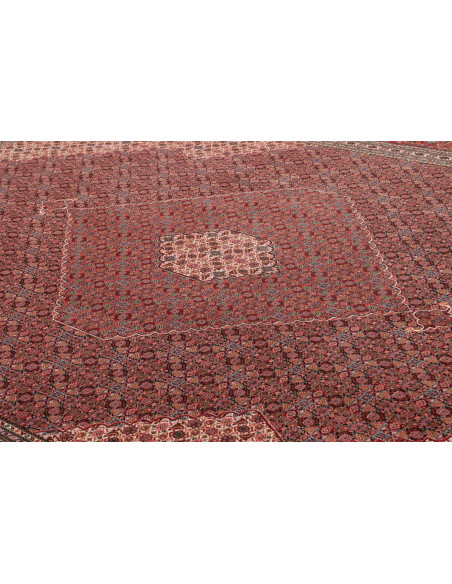 Tappeto Sarab Fine Persia cm.270x370