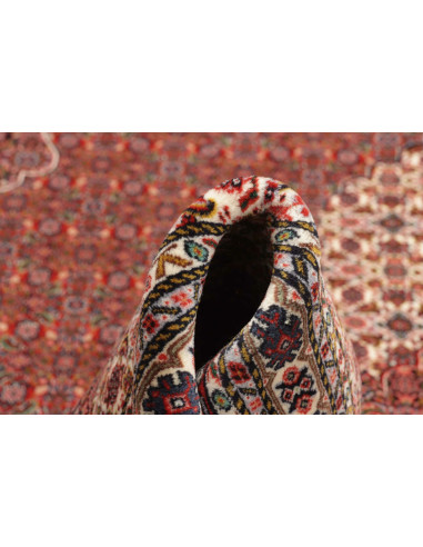 Tappeto Sarab Fine Persia cm.265x355