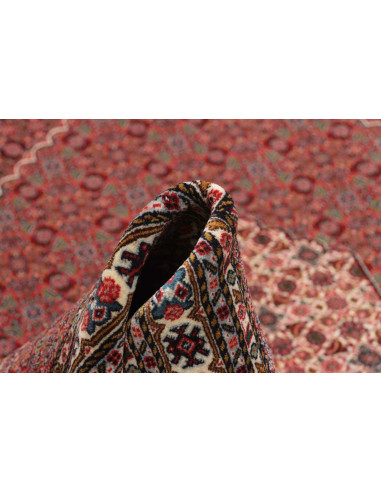 Tappeto Sarab Fine Persia cm.270x370