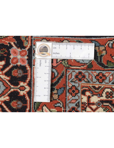 Tappeto Bidjar Con Seta Persia cm.256x355