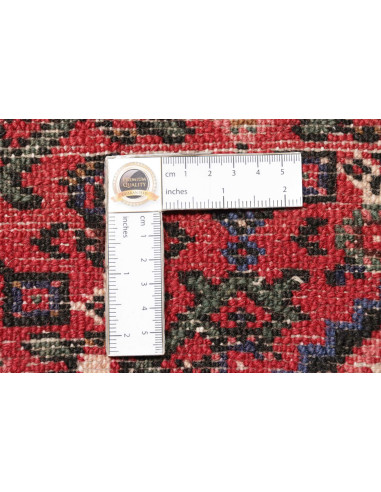 Tappeto Hosseinabad Persia cm.222x300