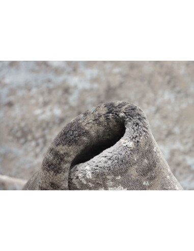 Tappeto Mc Carpet Persia cm.215x300