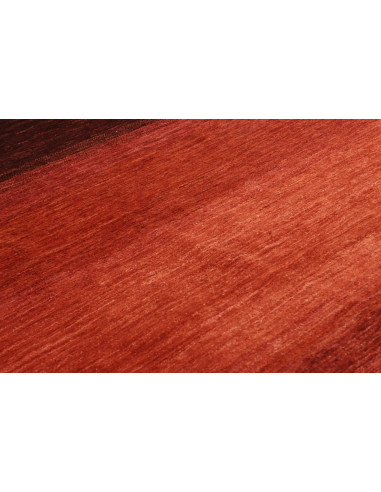 Tappeto Shayan Pakistan cm.172x242