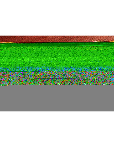 Tappeto Shayan Pakistan cm.201x269