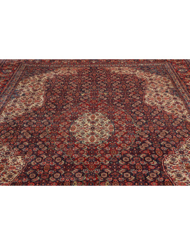 Tappeto Sarough Persia cm.287x422