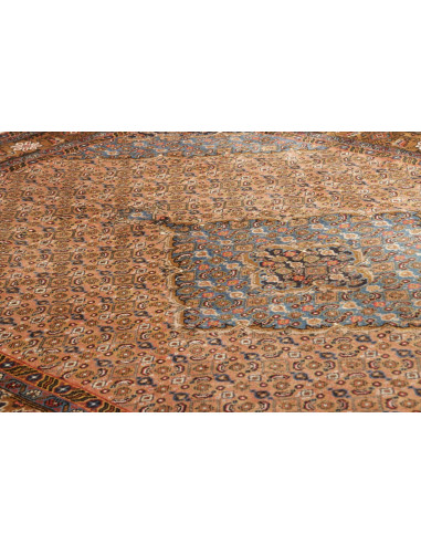 Tappeto Ardebil Persia cm.200x290