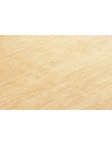 Tappeto Shayan Pakistan cm.173x239