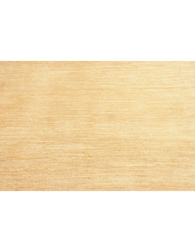 Tappeto Shayan Pakistan cm.173x239