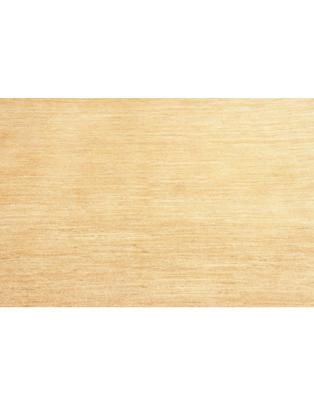 Tappeto Shayan Pakistan cm.173x239