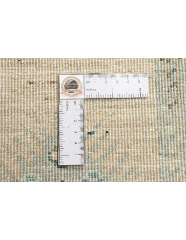 Tappeto Zigler Pakistan cm.243x311