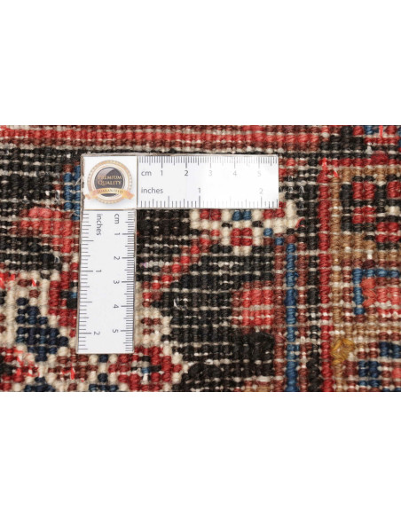 Tappeto Gorawan Persia cm.255x328