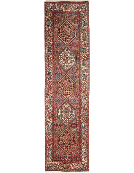 Tappeto Zandjan Persia cm.66x260