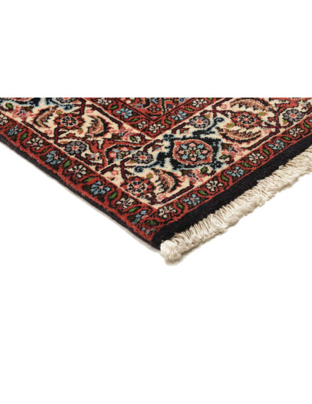 Tappeto Zandjan Persia cm.66x260