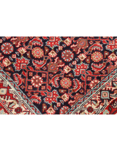 Tappeto Zandjan Persia cm.63x252