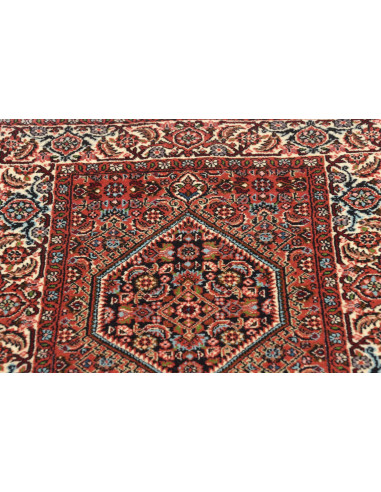 Tappeto Zandjan Persia cm.66x260