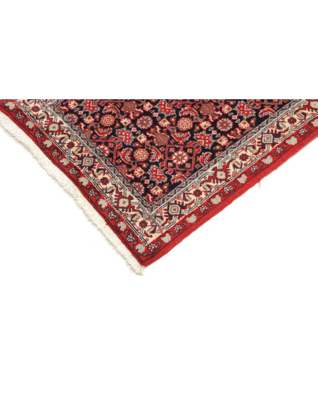 Tappeto Zandjan Persia cm.63x252