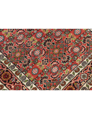 Tappeto Zandjan Persia cm.64x245