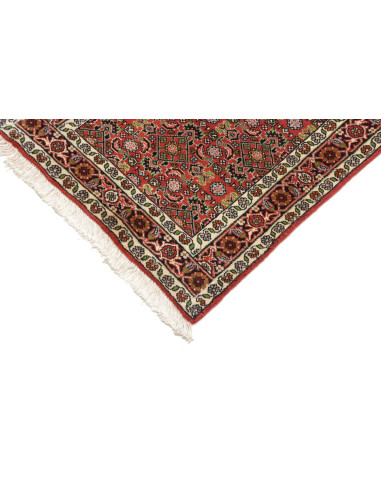 Tappeto Zandjan Persia cm.64x245
