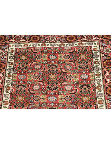 Tappeto Zandjan Persia cm.64x245