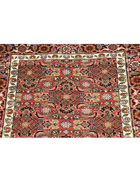 Tappeto Zandjan Persia cm.64x245