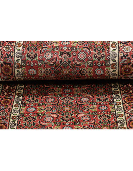 Tappeto Zandjan Persia cm.64x245