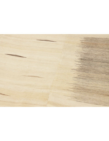 Tappeto Kilim Design Persia cm.218x320