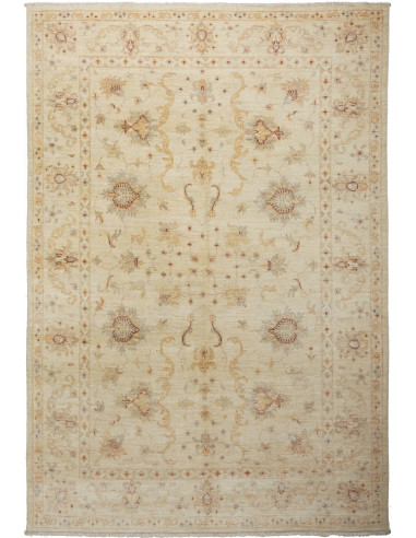 Tappeto Zigler Pakistan cm.166x250