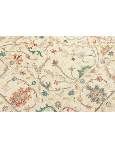 Tappeto Zigler Pakistan cm.172x238